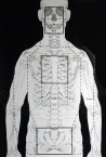 SKELETON
