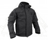 Hardshell CONGER